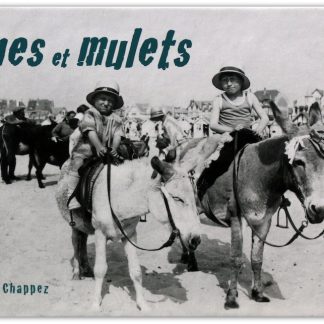 "Ânes et mulets"
