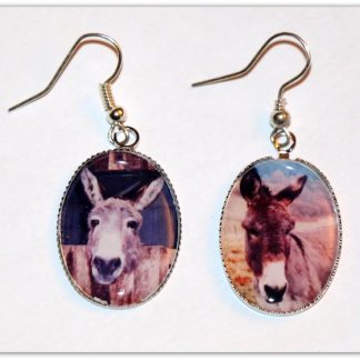 Boucles d'oreilles photos