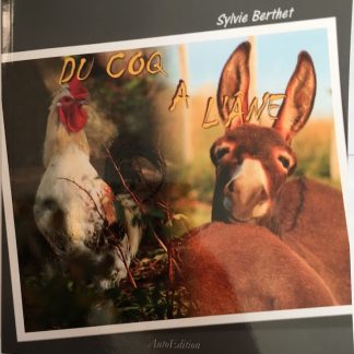 "Du coq à l'âne"