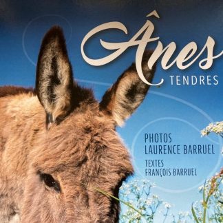 Ânes tendres âmes